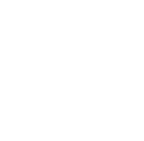 Academia Janza